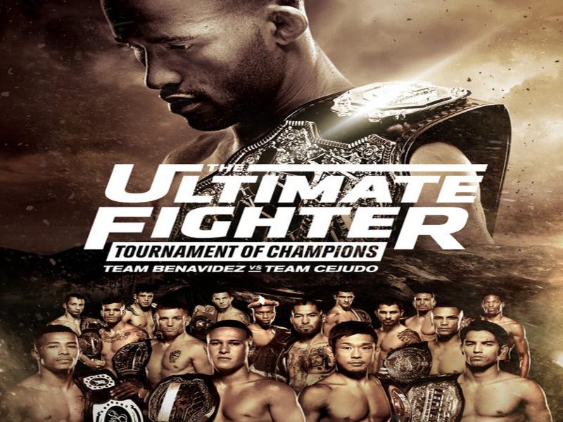 Descargar The Ultimate Fighter 24 Finale Preliminares en Ingles