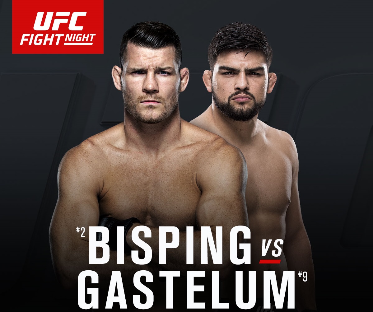Descargar UFC Fight Night Bisping vs Gastelum Preliminares en Español Latino