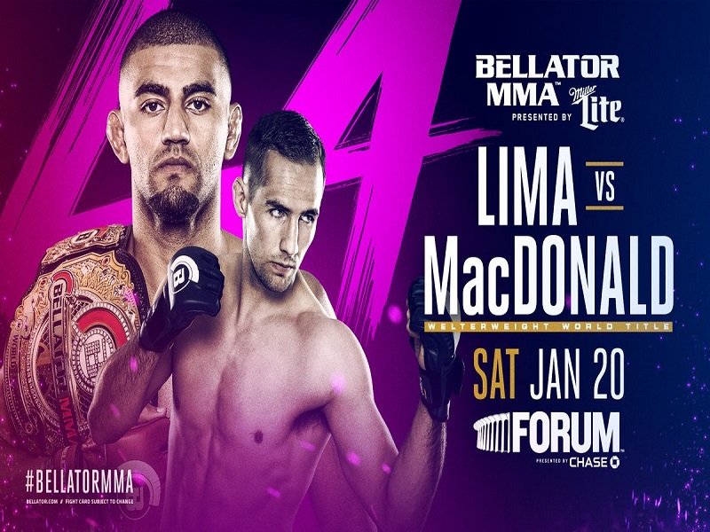 Descargar Bellator 192 Jackson vs Sonnen en Español Latino HDTV-720p