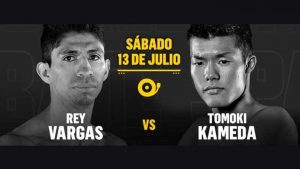 Descargar Boxeo Vargas vs Kameda en Español Latino